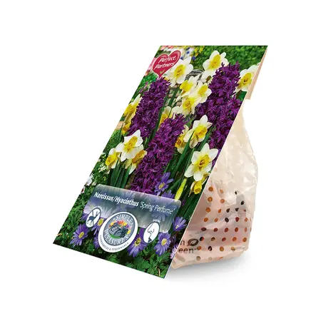 Blend Narcissus/Hyacinthus Spring Perfume | Cappers 8 x 20 - image 2