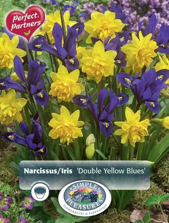 Blend Narcissus/Iris Double Yellow Blues | Cappers 14 x 16 - image 1