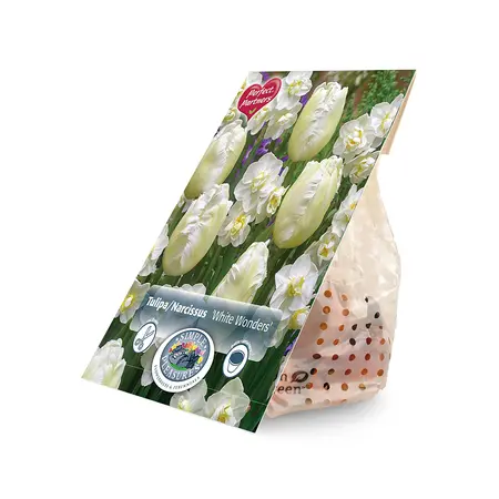 Blend Narcissus/Tulipa White Wonders | Capper 16 x 10 - image 2