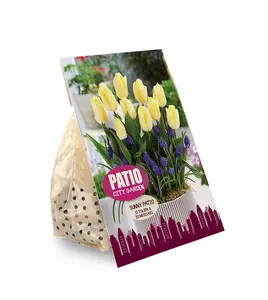 Blend Sunny Patio | Cappers 25 x 20 - image 2
