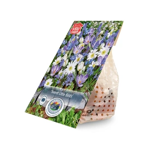Blend Sweet Little Birds | Cappers 40 x 15 - image 3