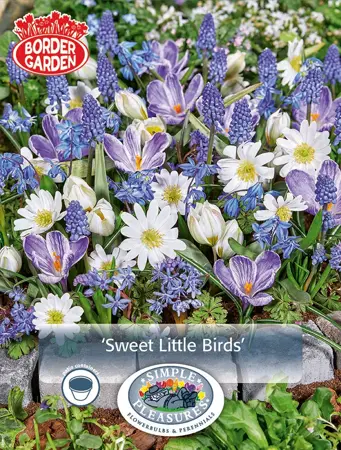 Blend Sweet Little Birds | Cappers 40 x 15 - image 1