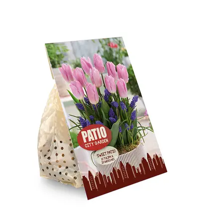 Blend Sweet Patio | Cappers 25 x 20 - image 2