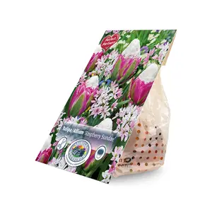 Blend Tulipa/Allium Raspberry Sundae | Cappers 12 x 20 - image 2