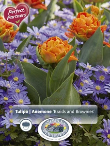Blend Tulipa/Anemone Braids and Brownies | Cappers 20 x 20 - image 3
