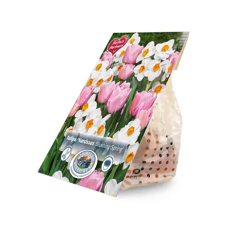 Blend Tulipa / Narcissus Blushing Spring | Cappers 10 x 20 - image 2