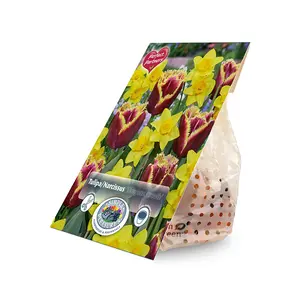 Blend Tulipa / Narcissus Dragon's Breath | Cappers 14 x 20 - image 2