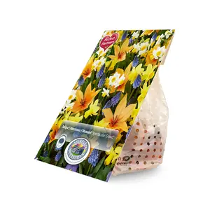 Blend Tulipa/Narcissus/Muscari Spectacular Crowd | Cappers 30 x 16 - image 2