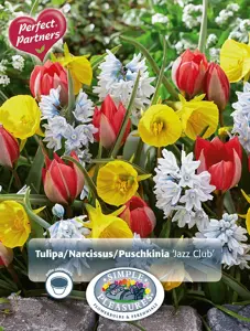 Blend Tulipa/Narcissus/Puschkinia Jazz Club | Cappers 35 x 16