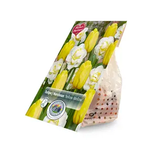 Blend Tulipa / Narcissus Yellow Mellow | Cappers 10 x 20 - image 2