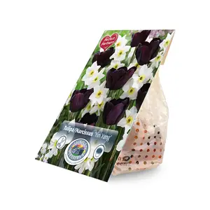 Blend Tulipa/Narcissus Yin Yang | Cappers 10 x 16 - image 2