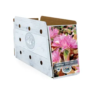 Colchicum Fall Flower Double Waterlily | 15 pce - image 2