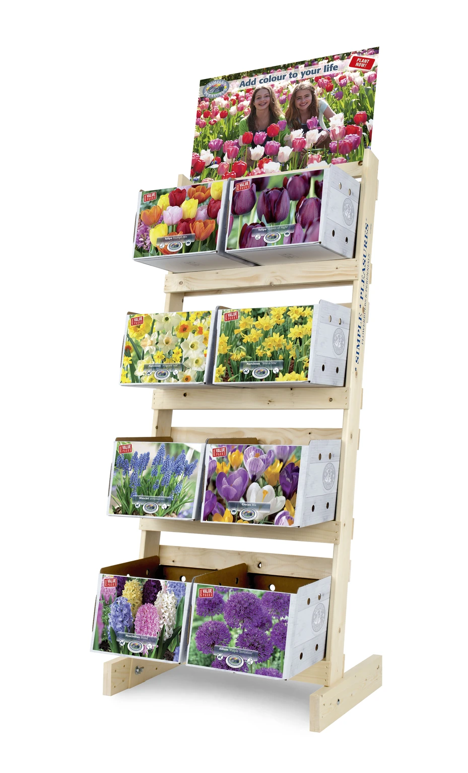 Collection Special Value Display De Vroomen US