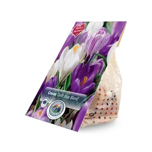 Crocus Blend Delft Blue | Cappers 25 x 16 - image 2