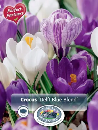 Crocus Blend Delft Blue | Cappers 25 x 16 - image 1