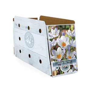 Crocus Specie Blue Pearl | Cappers 20 x 16 - image 2