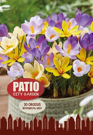Crocus Specie botanical mix | Capper 20 x 30