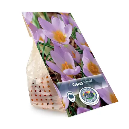 Crocus Specie Firefly | Cappers 20 x 16 - image 3