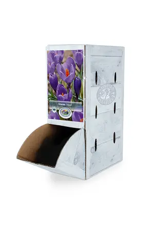 Crocus Vernus Aqua | 200 pce - image 2