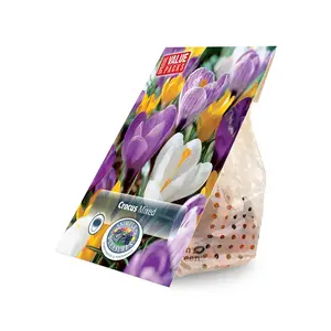 Crocus Vernus Giant mixed | Cappers 30 x 20 - image 2