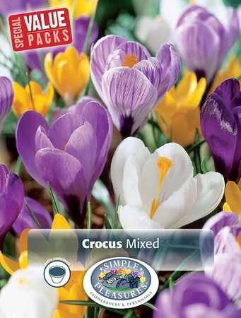 Crocus Vernus Giant mixed | Cappers 30 x 20 - image 3