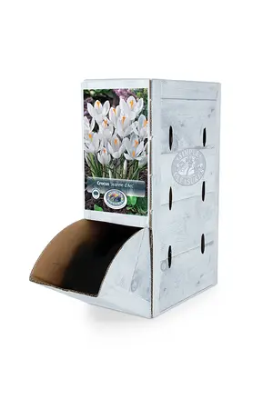 Crocus Vernus Jeanne D'Arc | 200 pce - image 2