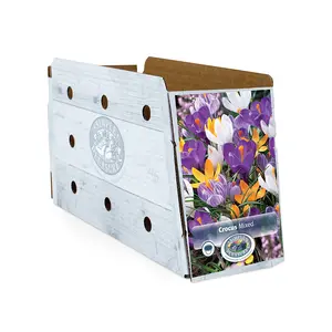 Crocus Vernus Mixed | Cappers 15 x 16 - image 2