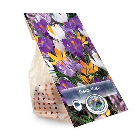 Crocus Vernus Mixed | Cappers 15 x 16 - image 3