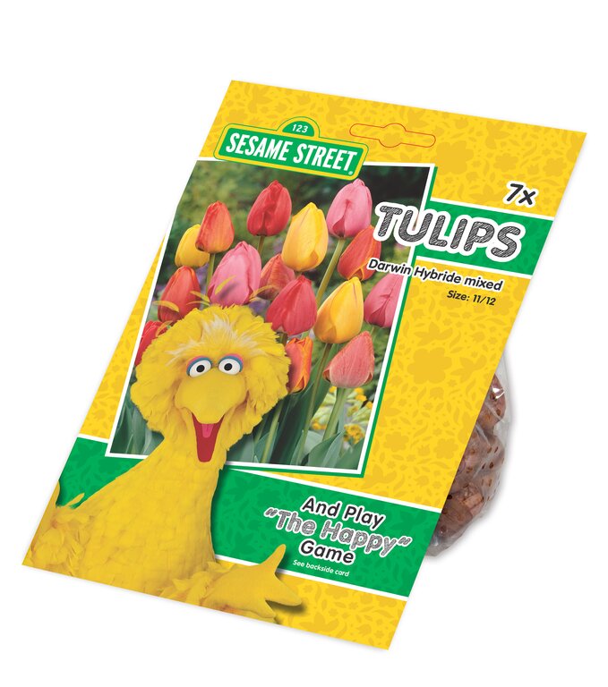 Sesame Street - De Vroomen US