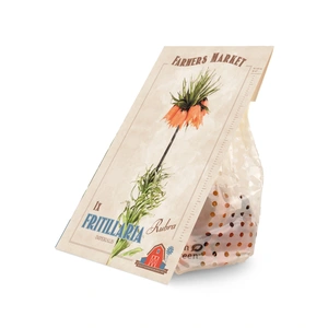 Fritillaria imperialis Imperalis Rubra | 20 pce - image 2