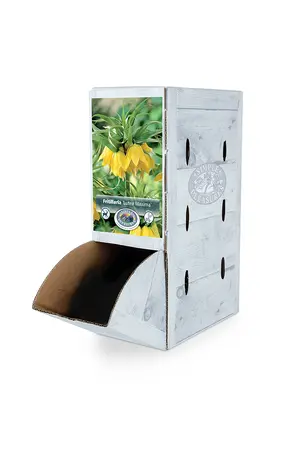 Fritillaria imperialis Lutea Maxima | 12 pce - image 2
