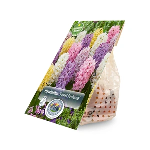 Hyacinthus Blend Pastel Perfume | Cappers 8 x 15 - image 2