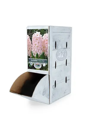 Hyacinthus China Pink | 60 pce - image 2