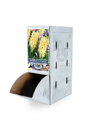 Hyacinthus City Of Haarlem | 60 pcs - image 2