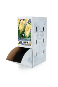 Hyacinthus City Of Haarlem | 60 pcs - image 2