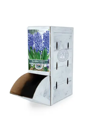 Hyacinthus Delft Blue | 60 pcs - image 2
