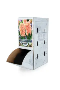 Hyacinthus Gipsy Queen | 60 pcs - image 2