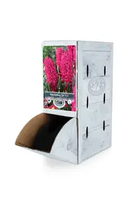 Hyacinthus Jan Bos | 60 pcs - image 2
