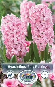 Hyacinthus Pink Frosting (Fondant) | 60 pcs