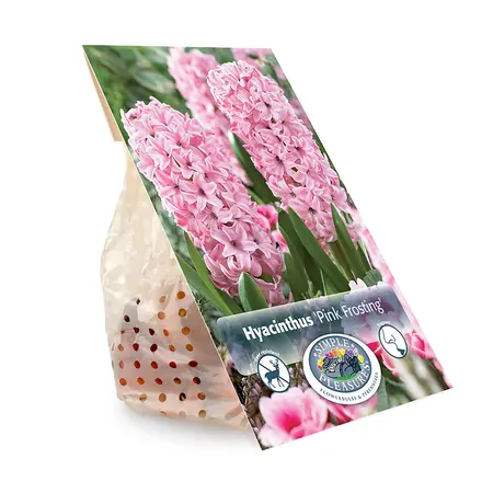Hyacinthus Pink Frosting (Fondant) | Capper 16 x 4 - image 3