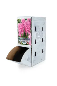 Hyacinthus Pink Pearl | 60 pcs - image 2