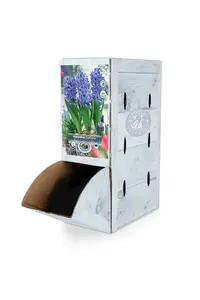 Hyacinthus Prepared Delft Blue | 50 pce - image 2