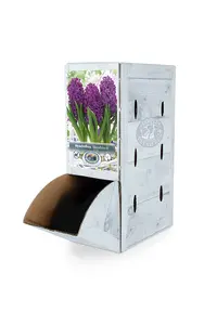 Hyacinthus Woodstock | 60 pcs - image 2