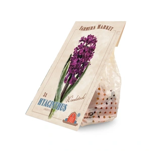Hyacinthus Woodstock | Cappers 5 x 20 - image 3