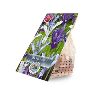 Iris Blue Orchids | Cappers 20 x 20 - image 2