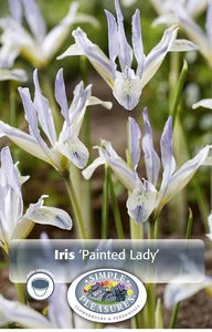 Iris Painted Lady | Cappers 20 x 15 - image 4