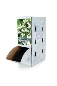 Leucojum Gravetye Giant (Spring Snowlflakes) | 50 pce - image 2