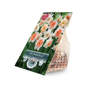 Narcissus Blend Pink | Capper 20 x 10 - image 2