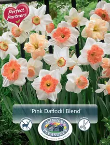 Narcissus Blend Pink | Capper 20 x 10