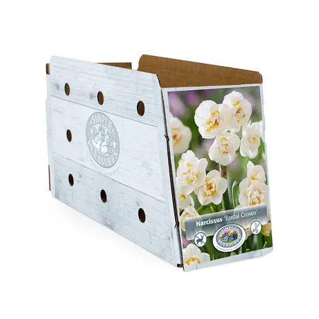 Narcissus Double Bridal Crown | Cappers 5 x 12 - image 2